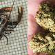 Left: A female lobster on a tile floor; Right: two dank nuggs of marijuana in the palm of a hand
